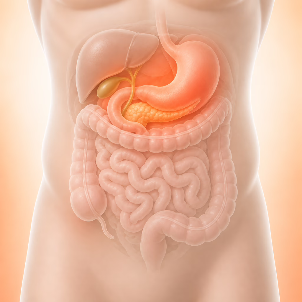 Abdominal Pain After Eating: Causes and Which Doctor to See